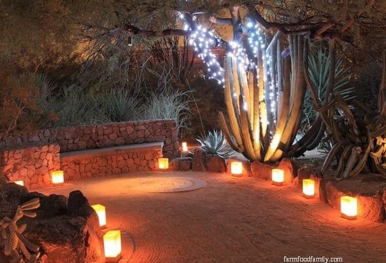 23 whimsical desert las vegas backyard ideas