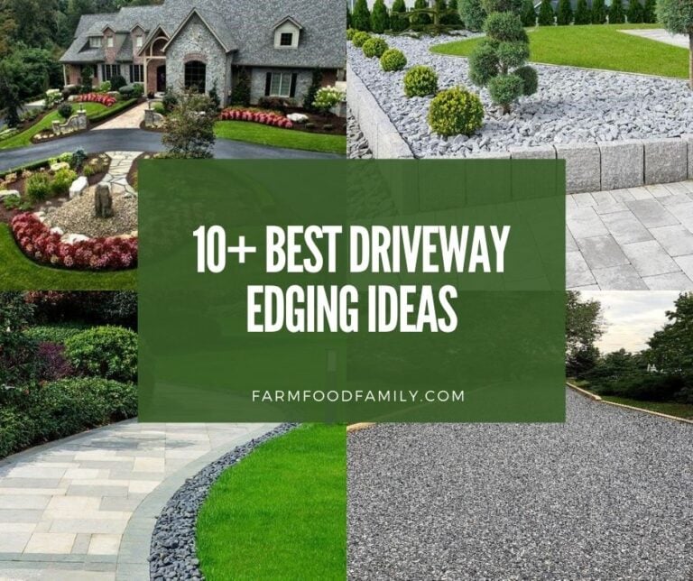 10 Best Driveway Edging Ideas On A Budget