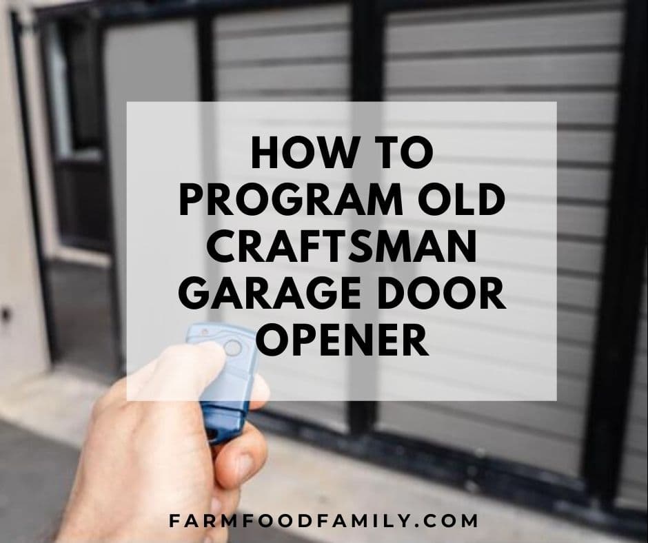 Old Craftsman Garage Door Opener, How To Set Up Garage Door Opener In Car Without Remote