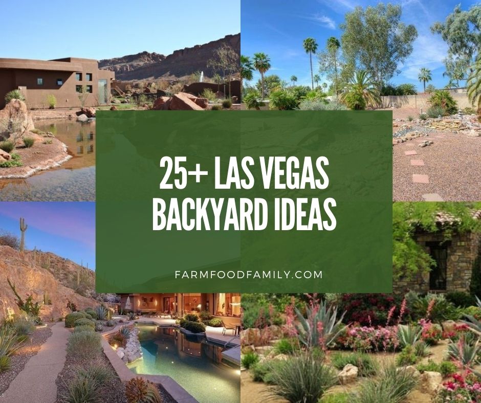 25 Stunning Las Vegas Desert Backyard, Modern Desert Landscape Backyard Design