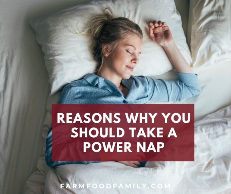 Reasons Why You Should Take A Power Nap