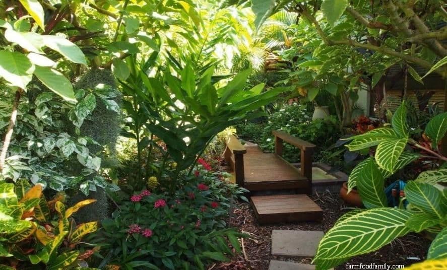10 hawaiian landscaping ideas