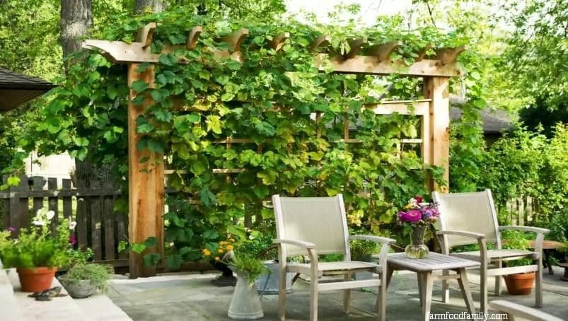 10 landscaping along fence ideas