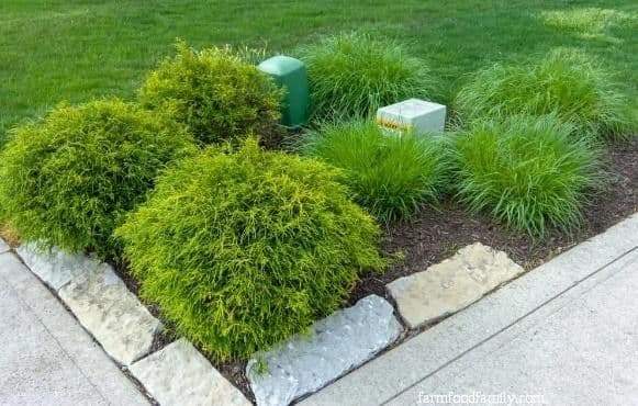 16 landscaping ideas to hide utility