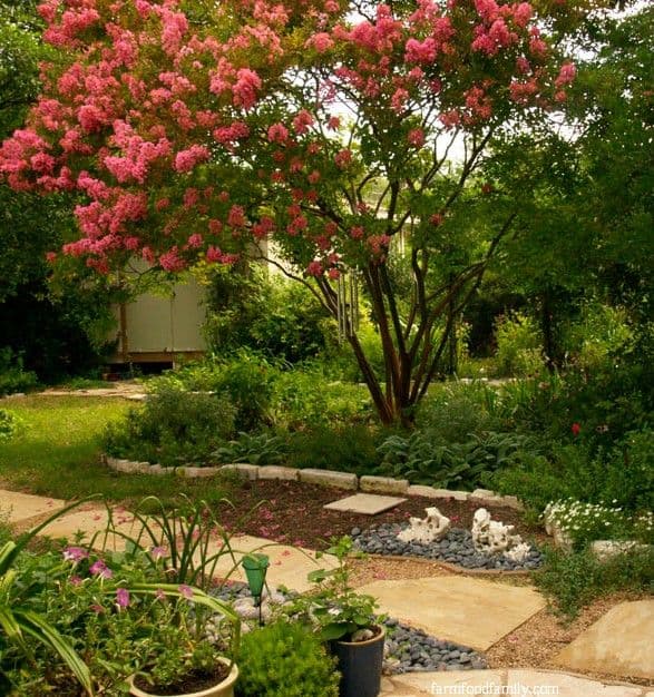 20 texas landscaping ideas
