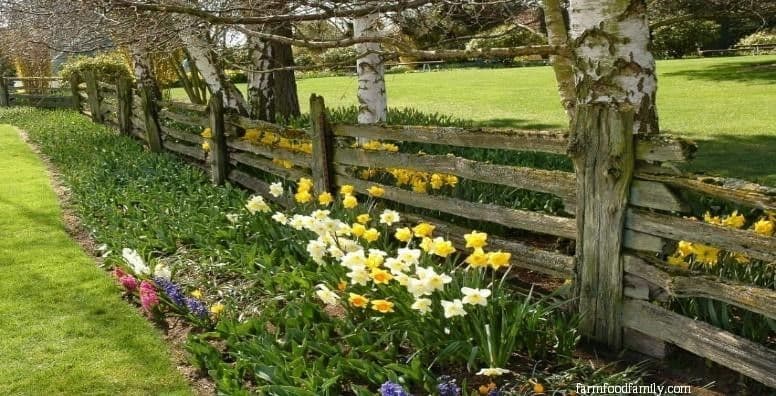 4 landscaping along fence ideas