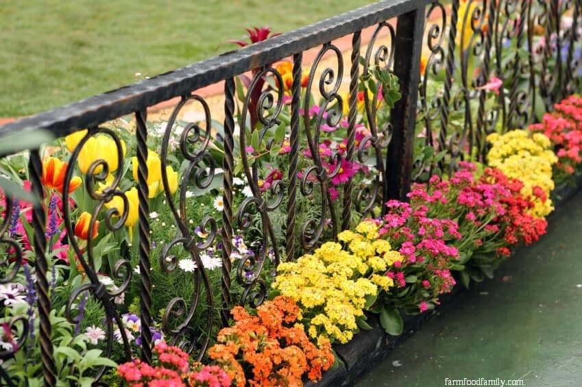 6 landscaping along fence ideas