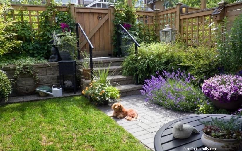 7 landscaping along fence ideas