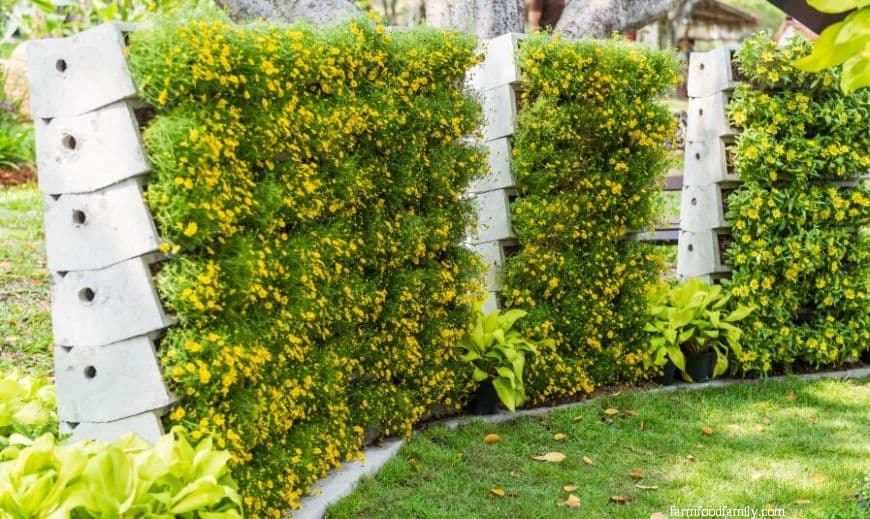 8 landscaping along fence ideas