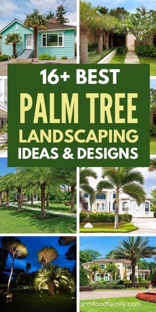 best palm tree landscaping ideas