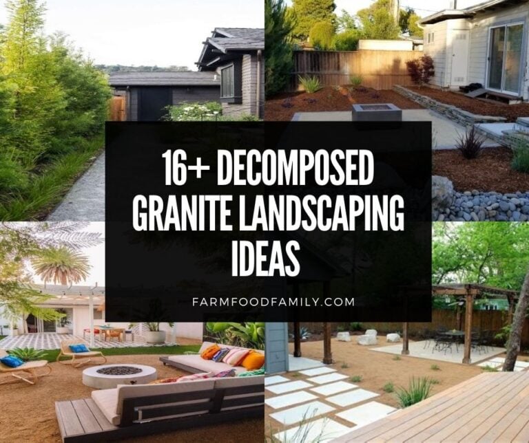 16+ Decomposed Granite Landscaping Ideas & Designs