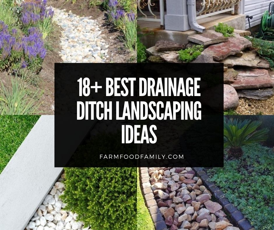 Best Drainage Ditch Landscaping Ideas, Garden Drain Cover Ideas