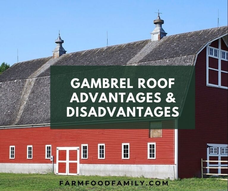 Gambrel Roof: Advantages and Disadvantages