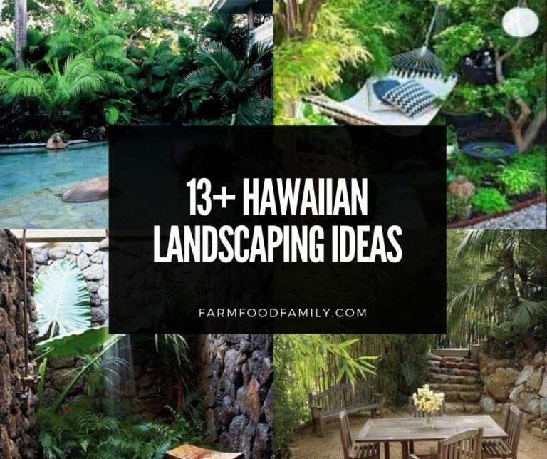 13+ Hawaiian Landscaping Ideas and Designs