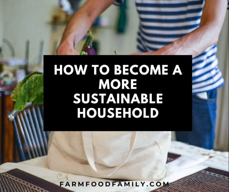 How to Become a More Sustainable Household FarmFoodFamily