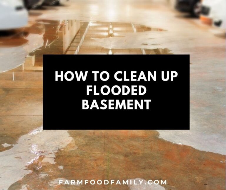 How To Clean Up Flooded Basement