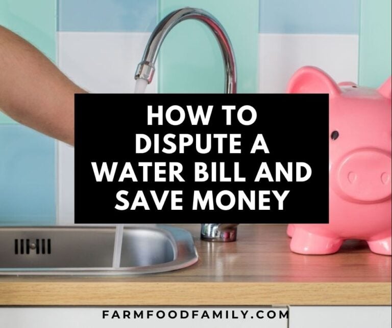 How To Dispute A Water Bill And Save Money
