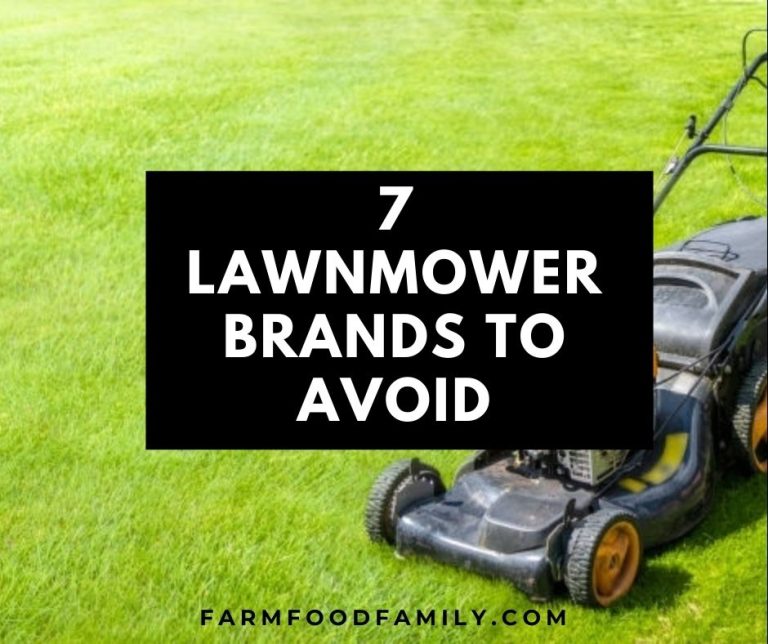 7 Worst Lawn Mower Brands To Avoid 2022 (and 5 Most Reliable Brands)