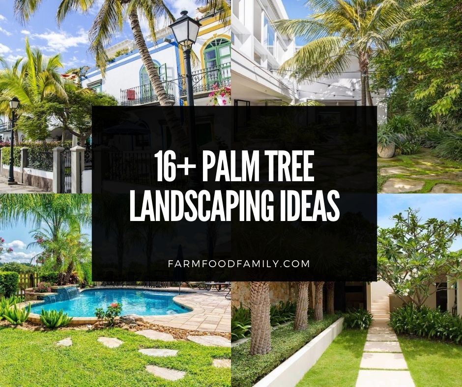 16 Best Palm Tree Landscaping Ideas, Front Yard Landscaping Around Palm Trees