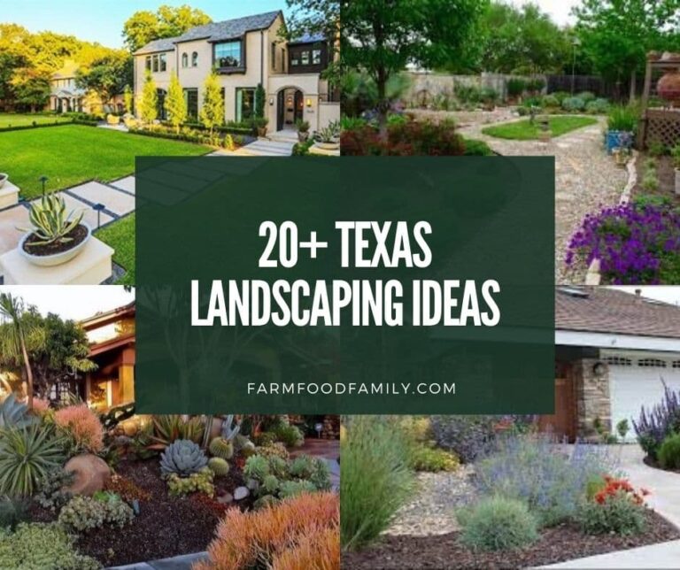 20+ Best Texas Landscaping Ideas and Designs
