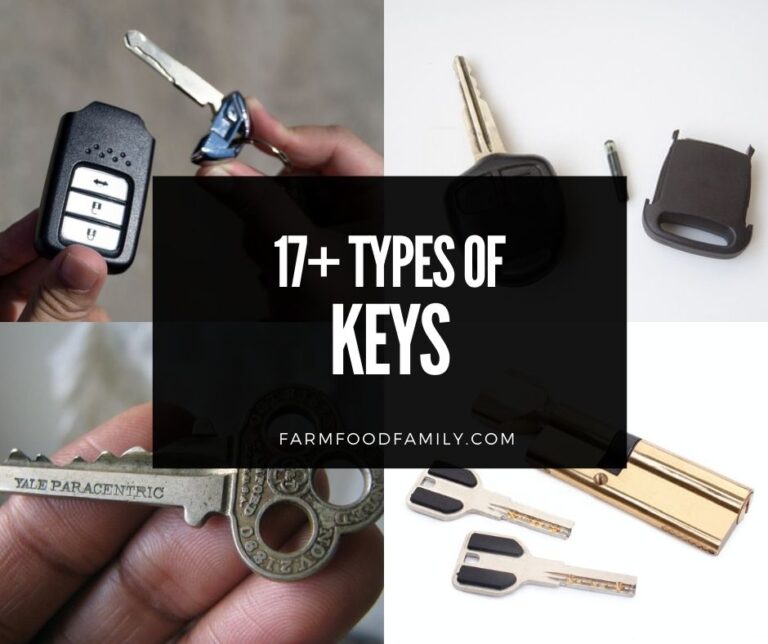 17+ Different Types Of Keys