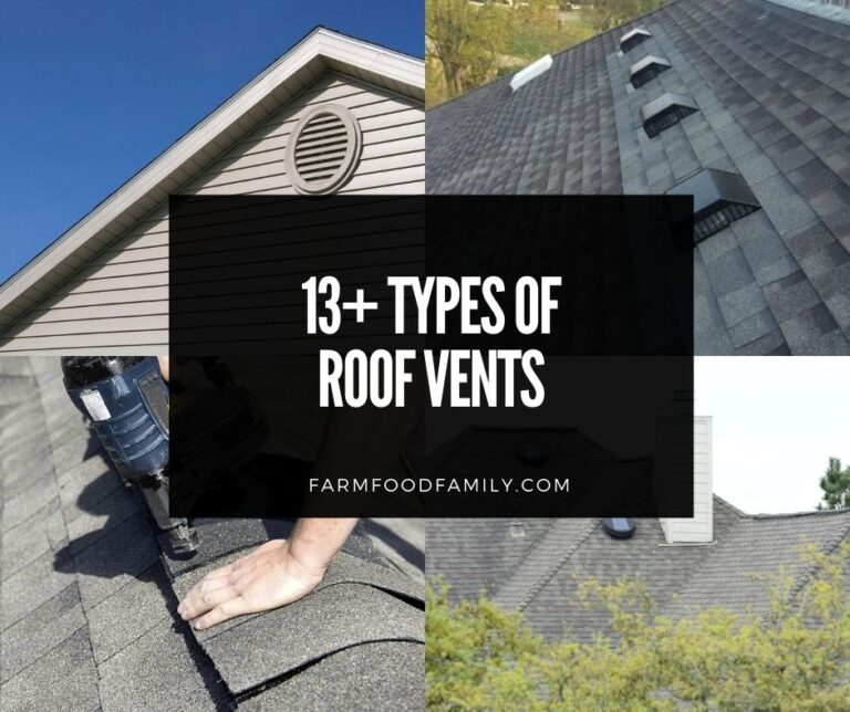 13+ Different Types Of Roof Vents With Pictures