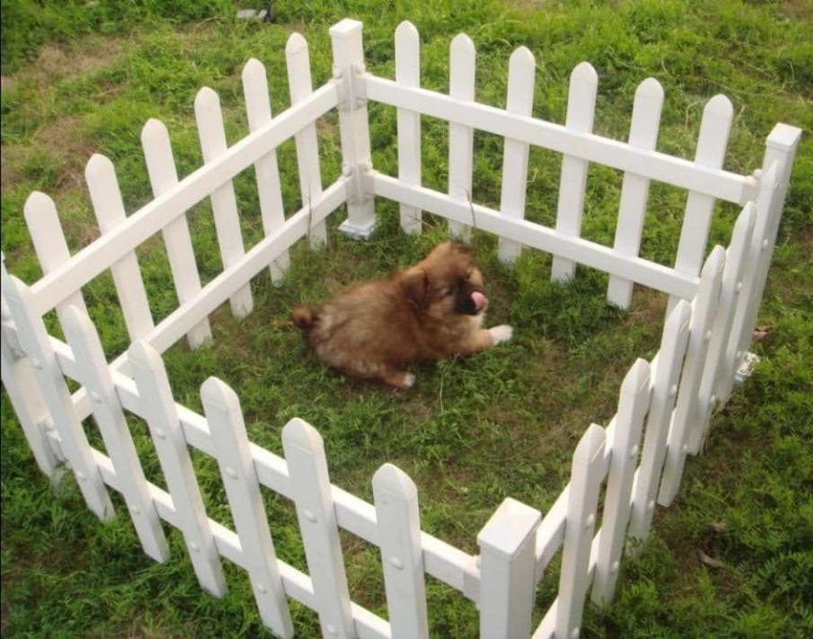 15 dog fence ideas 1