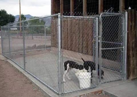 23 dog fence ideas