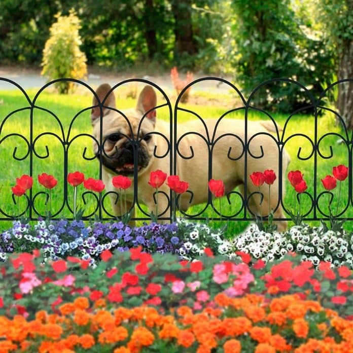31 dog fence ideas