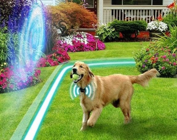 30 Dog Fence Ideas And Designs For Your Backyard 2022 - Best Diy Electric Pet Fence