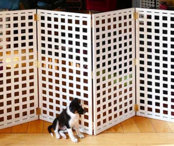 9 dog fence ideas 1