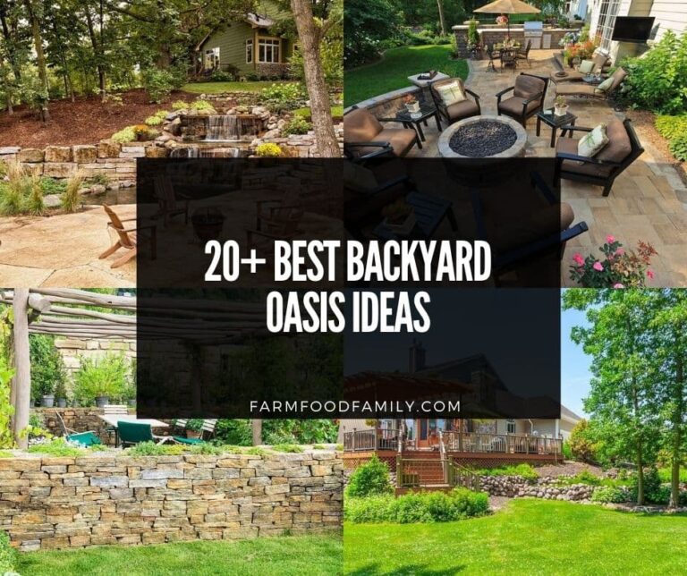 20+ Backyard Oasis Ideas and Designs