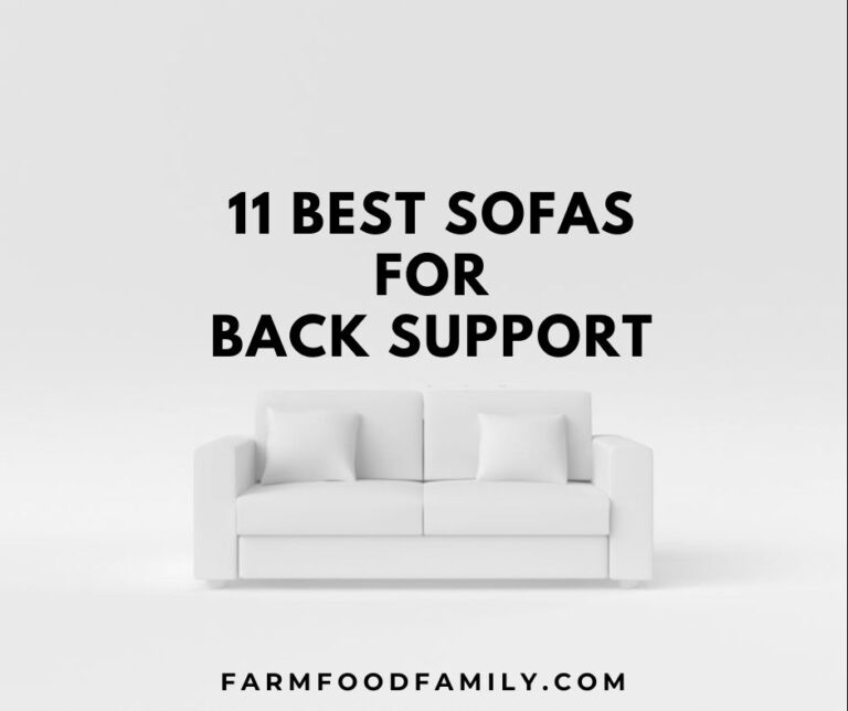 11 Best Sofas For Back Support and Buying Guide