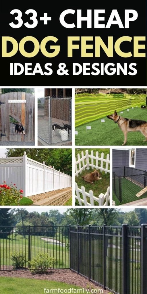 cheap dog fence ideas designs