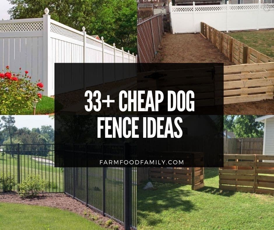 30 Dog Fence Ideas And Designs, Outdoor Fencing Ideas For Dogs