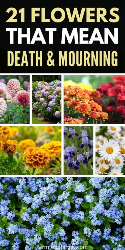 flowers that mean death and mourning