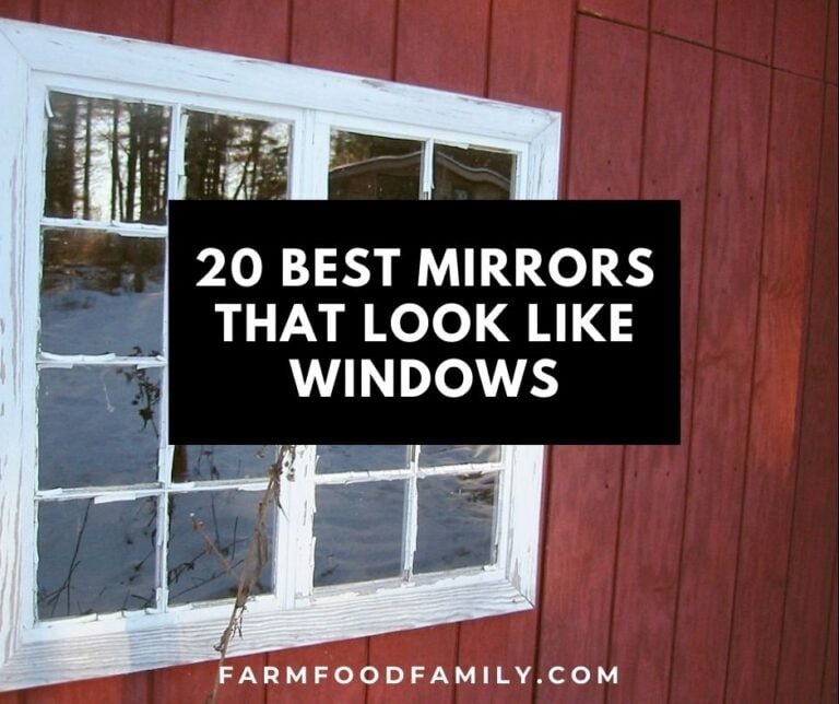 20 Best Mirrors That Look Like Windows