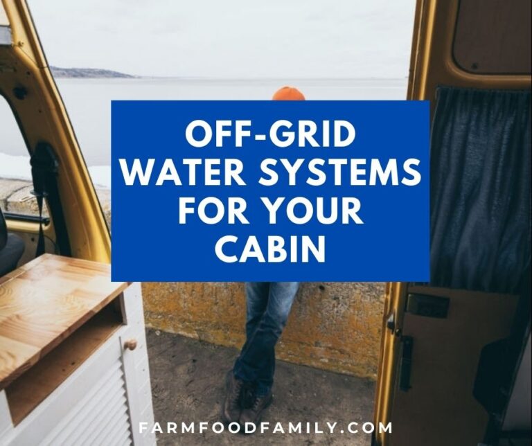 Off-Grid Water Systems For Your Remote Cabin