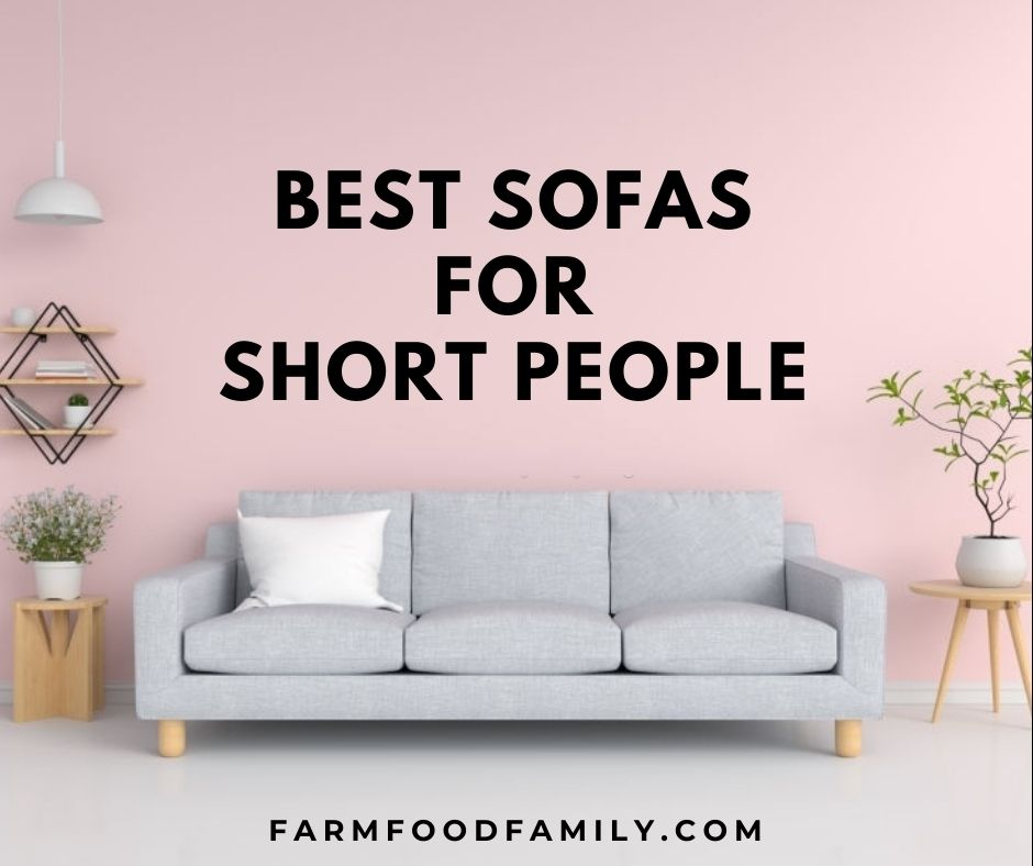 Best Sofas Couches For Short People, Shallow Depth Leather Sofa