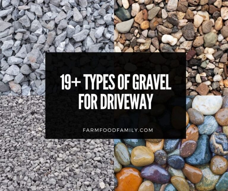 19+ Types Of Gravel For Driveways and Landscaping