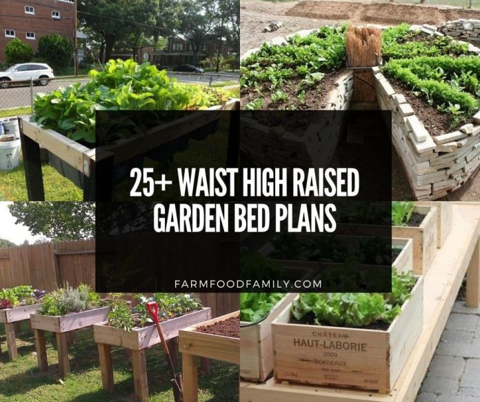 Raised Garden Bed Ideas, Corrugated Steel Raised Garden Bed Plans