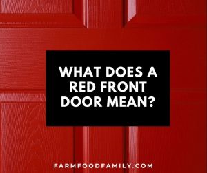 what does red front door mean