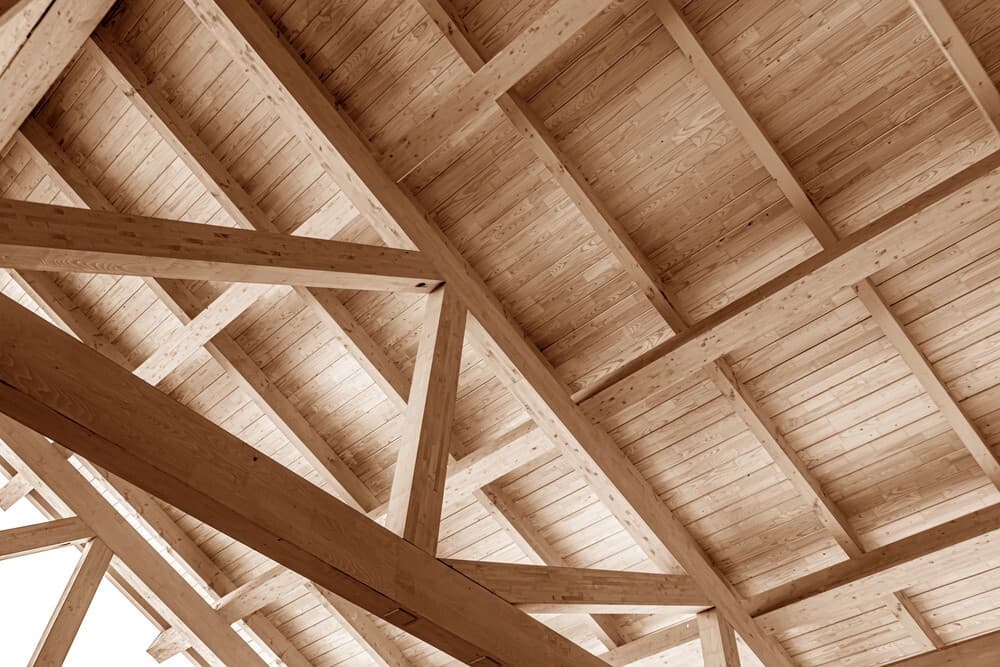 16 shed ceiling