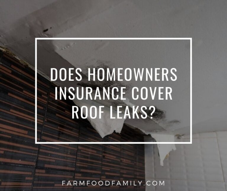 Would Your Home Insurance Cover Roof Leaks?
