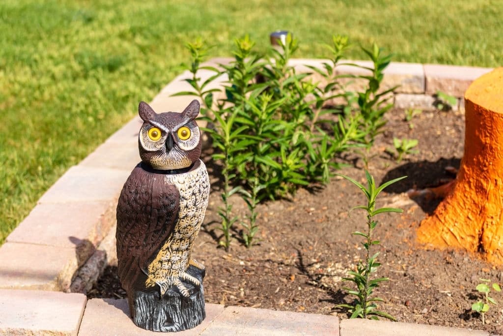 fake owls in garden