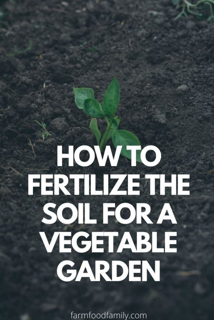 fertilizing soil for vegetable garden