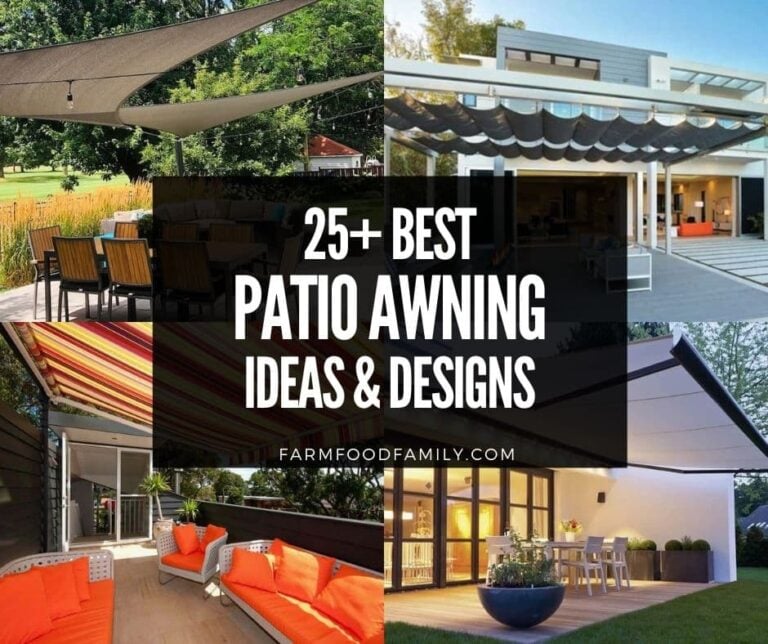 30 Best Patio Awning Ideas and Designs