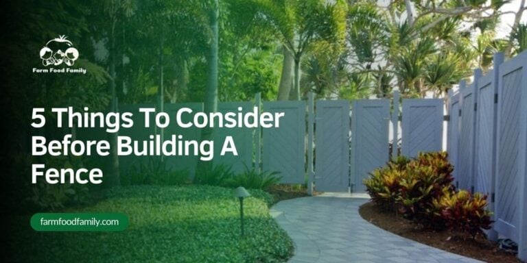 5 Things To Consider Before Building A Fence