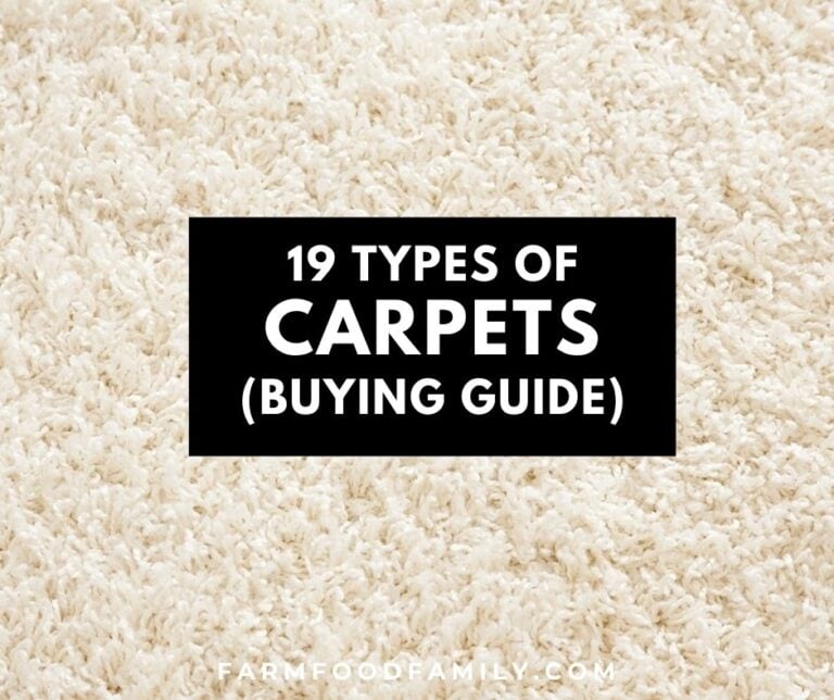 19+ Different Types Of Carpets, Styles, and Pile Options (Buying Guide)
