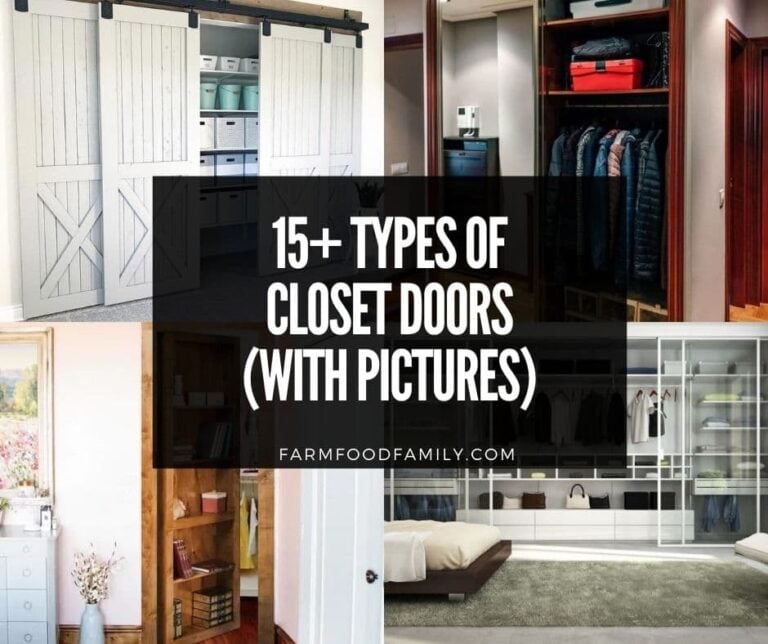 15 Types Of Closet Doors (With Pictures)